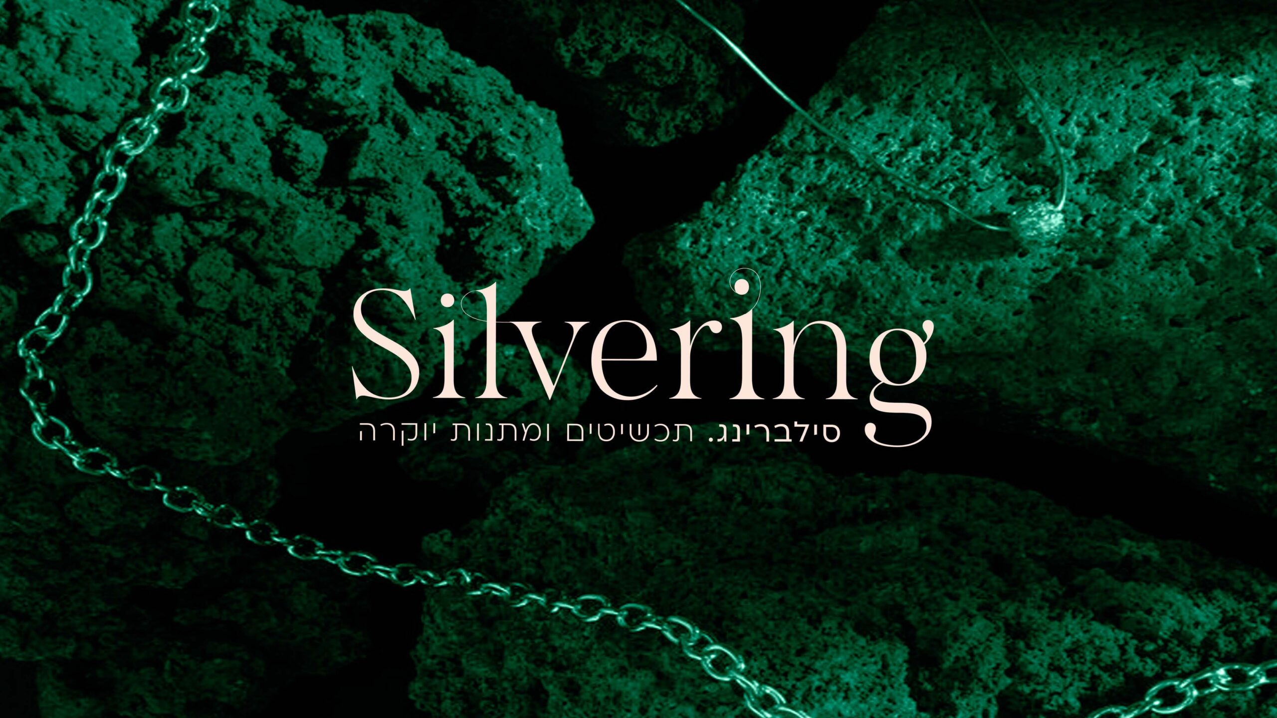 __פרזנטציה סילברינג - גמור_Page_29